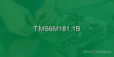 t.ms6m181.1b software