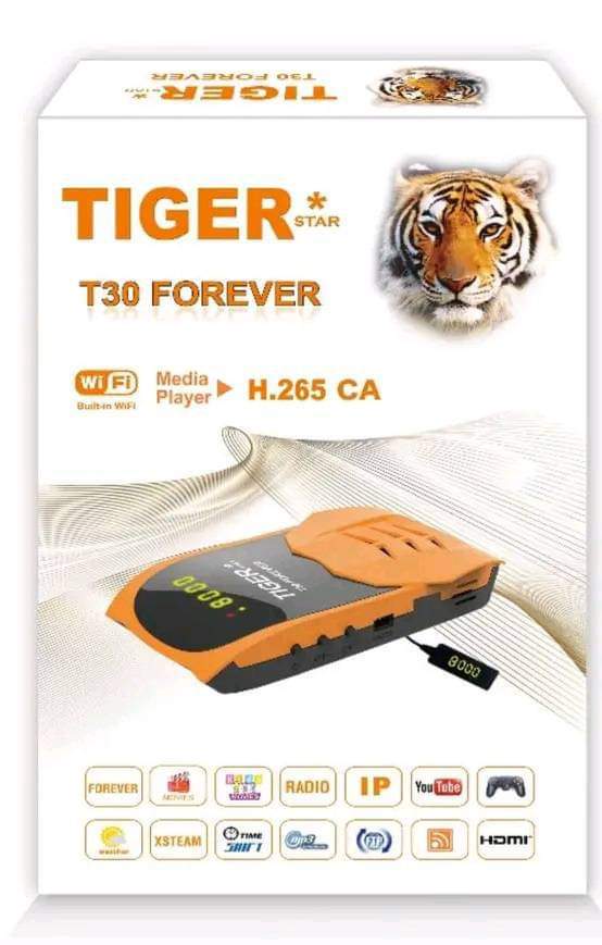     tiger    2024/05/20 link.jpg